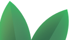 Decorative leaf graphic