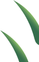Decorative leaf graphic