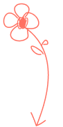 Decorative background shape